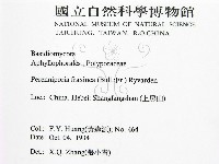 登錄號:F0016475藏品圖，第2張