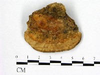 登錄號:F0016475藏品圖，第3張