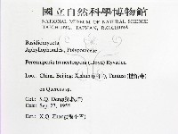 登錄號:F0016477藏品圖，第2張