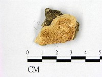 登錄號:F0016477藏品圖，第1張