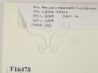 登錄號:F0016478藏品圖，第2張