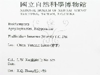 登錄號:F0016480藏品圖，第3張