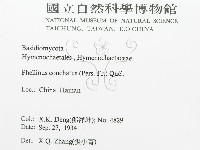登錄號:F0016481藏品圖，第3張