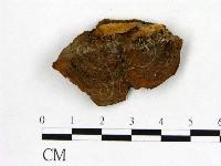 登錄號:F0016481藏品圖，第1張