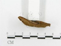 登錄號:F0016481藏品圖，第5張
