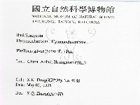 登錄號:F0016482藏品圖，第2張