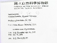 登錄號:F0016483藏品圖，第2張