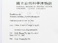 登錄號:F0016483藏品圖，第3張