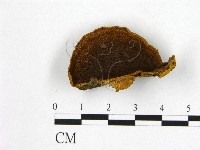 登錄號:F0016483藏品圖，第1張