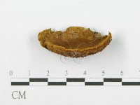 登錄號:F0016483藏品圖，第5張