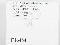 登錄號:F0016484藏品圖，第2張
