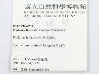 登錄號:F0016484藏品圖，第3張