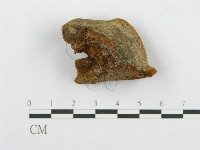 登錄號:F0016484藏品圖，第4張