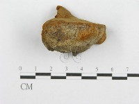 登錄號:F0016484藏品圖，第5張