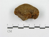登錄號:F0016484藏品圖，第6張