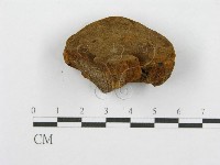 登錄號:F0016484藏品圖，第7張