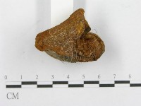 登錄號:F0016484藏品圖，第8張