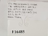 登錄號:F0016485藏品圖，第2張