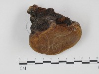 登錄號:F0016485藏品圖，第3張