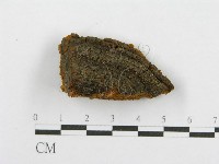 登錄號:F0016486藏品圖，第4張