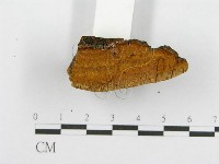 登錄號:F0016486藏品圖，第6張