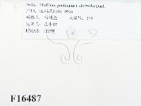 登錄號:F0016487藏品圖，第2張