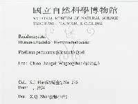 登錄號:F0016487藏品圖，第3張