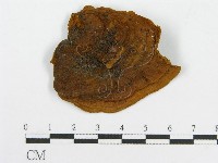 登錄號:F0016487藏品圖，第1張