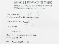 登錄號:F0016488藏品圖，第3張
