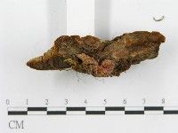 登錄號:F0016488藏品圖，第8張