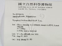 登錄號:F0016491藏品圖，第2張