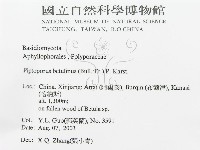 登錄號:F0016491藏品圖，第3張