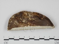 登錄號:F0016491藏品圖，第1張