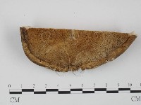 登錄號:F0016491藏品圖，第4張