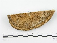 登錄號:F0016491藏品圖，第5張