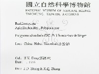 登錄號:F0016492藏品圖，第3張