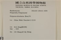 登錄號:F0016492藏品圖，第5張