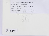 登錄號:F0016493藏品圖，第2張
