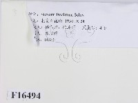 登錄號:F0016494藏品圖，第2張