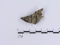 登錄號:F0016494藏品圖，第1張