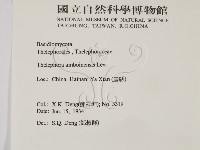 登錄號:F0016495藏品圖，第2張