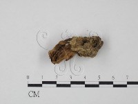 登錄號:F0016495藏品圖，第3張