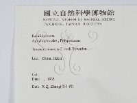 登錄號:F0016496藏品圖，第2張