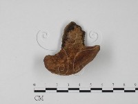 登錄號:F0016496藏品圖，第1張