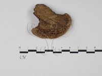 登錄號:F0016496藏品圖，第3張