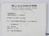 雲芝藏品圖，第2張