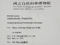 登錄號:F0016500藏品圖，第2張