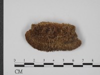 登錄號:F0016500藏品圖，第1張