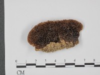 登錄號:F0016500藏品圖，第3張