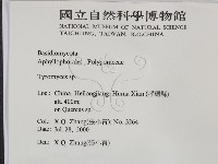 登錄號:F0016501藏品圖，第2張